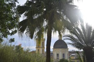 Concorso "Sguardi botanici" - Autore: Lorenzo Battilocchi