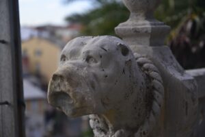Concorso "Sguardi botanici" - Autore: Marina Benini