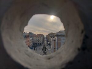 Concorso "Sguardi botanici" - Autore: Fabio Bragazzi