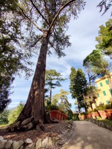Concorso "Sguardi botanici" - Autore: Walter Mescalchin